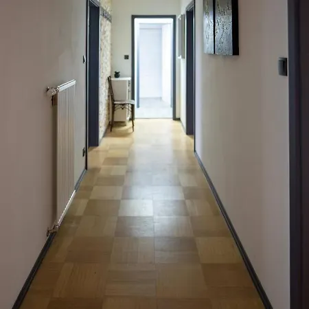 Gloecknerhaus Apartment Sankt Gallen Exterior photo